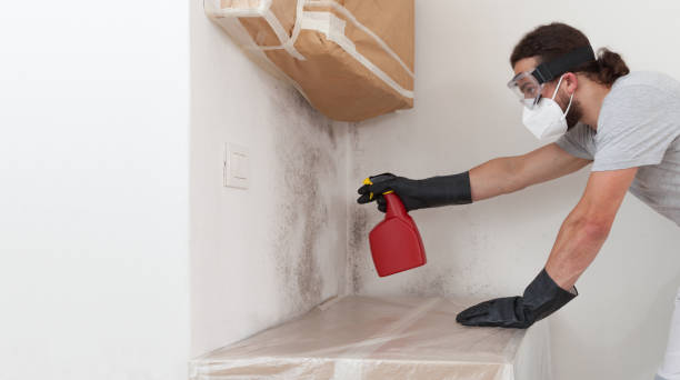 Professional Crawl Space Mold Removal technician working in Grant, MN